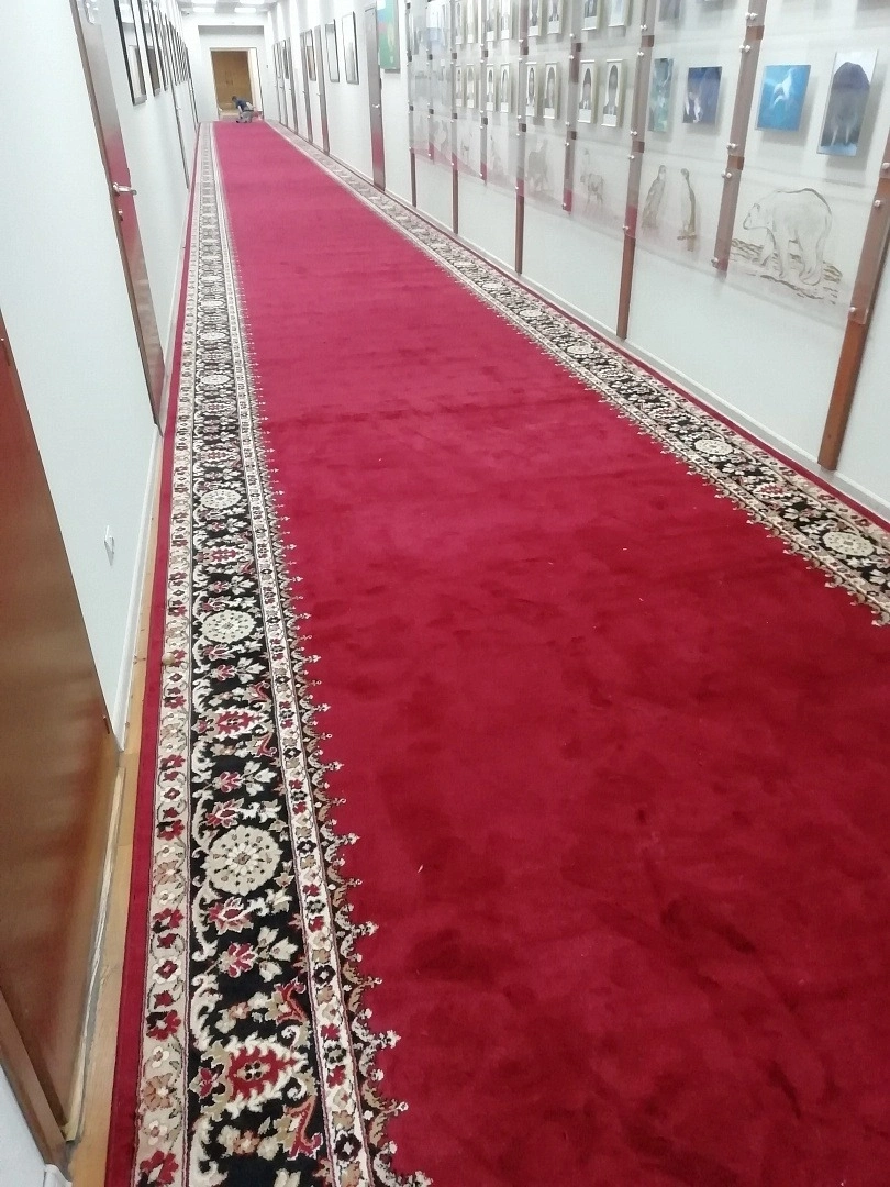 Укладка дорожки в здании РОСПРИРОДНАДЗОРА