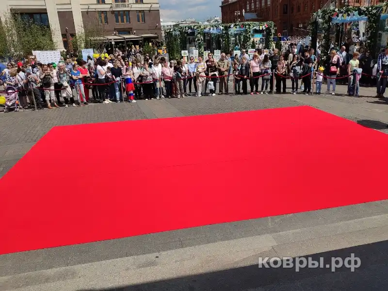 Укладка дорожки для БФ