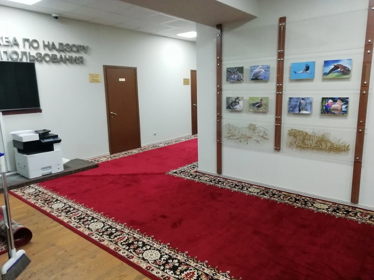 Укладка дорожки в здании РОСПРИРОДНАДЗОРА 4