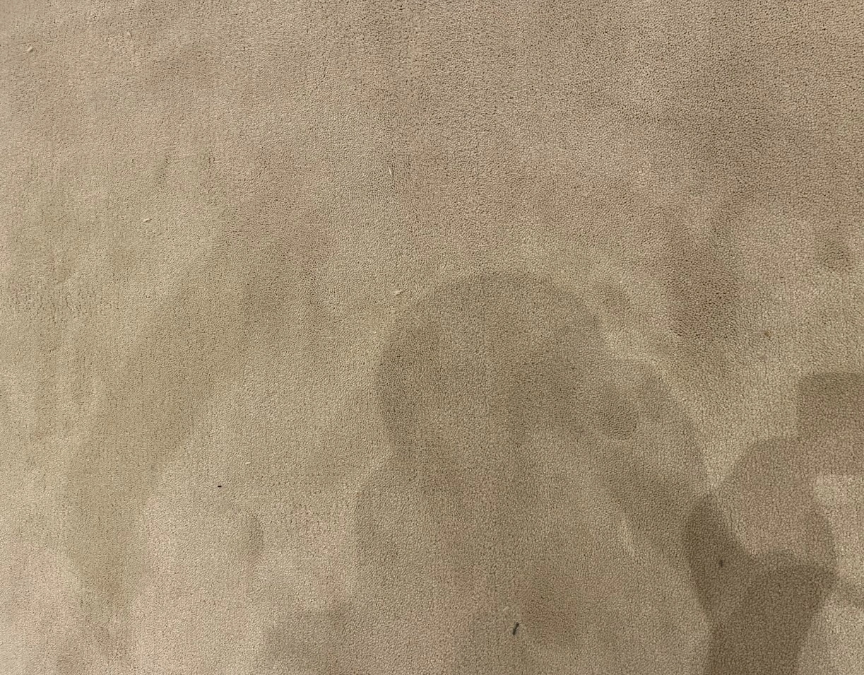 Укладка ковролина в манеже Гостиного двора