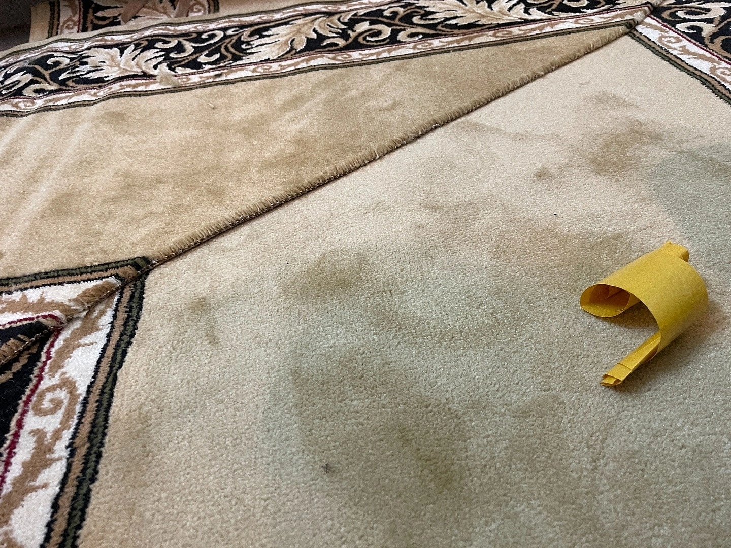 Укладка дорожки в Музее истории медицины МГМСУ имени А. И. Евдокимова 2