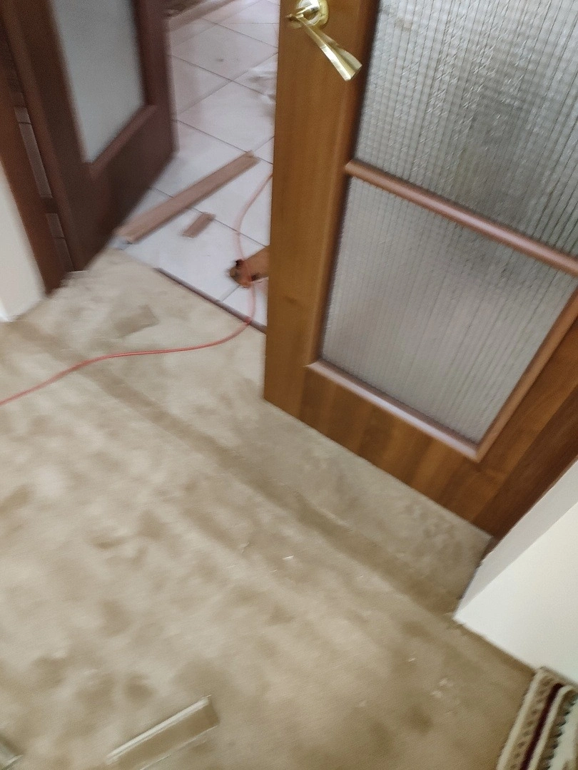 Укладка в Министерстве природных ресурсов и экологии 9