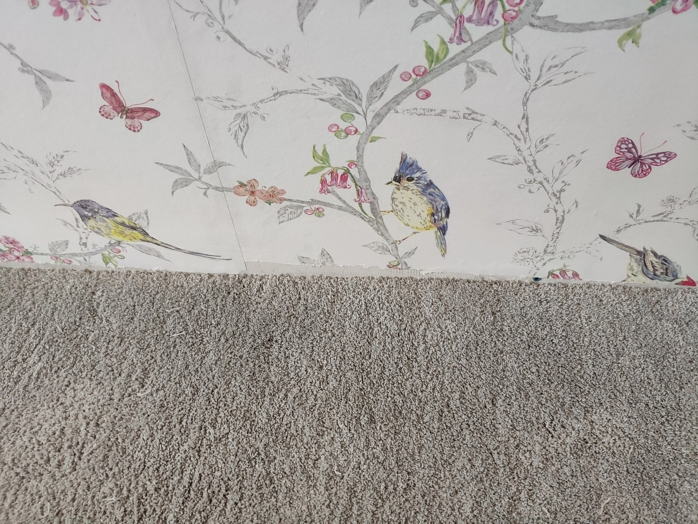 Укладка ковролина в ЖК Ивакино-Покровское 5