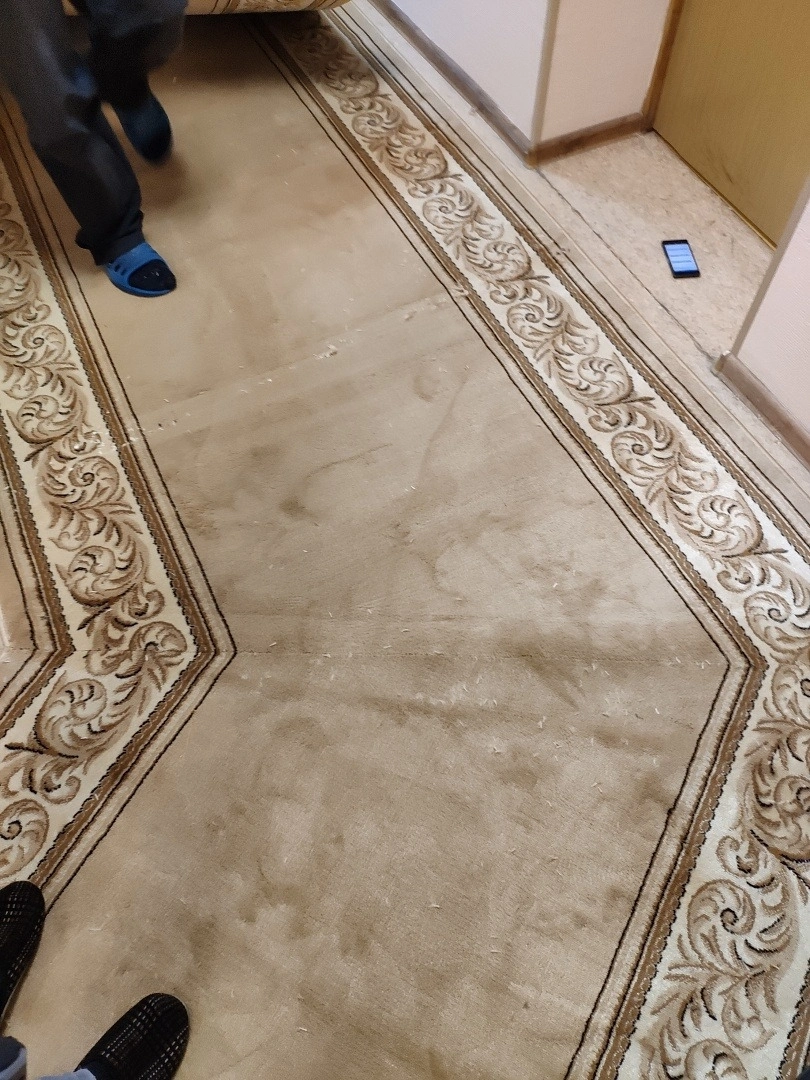 Укладка в Университете РФ 2