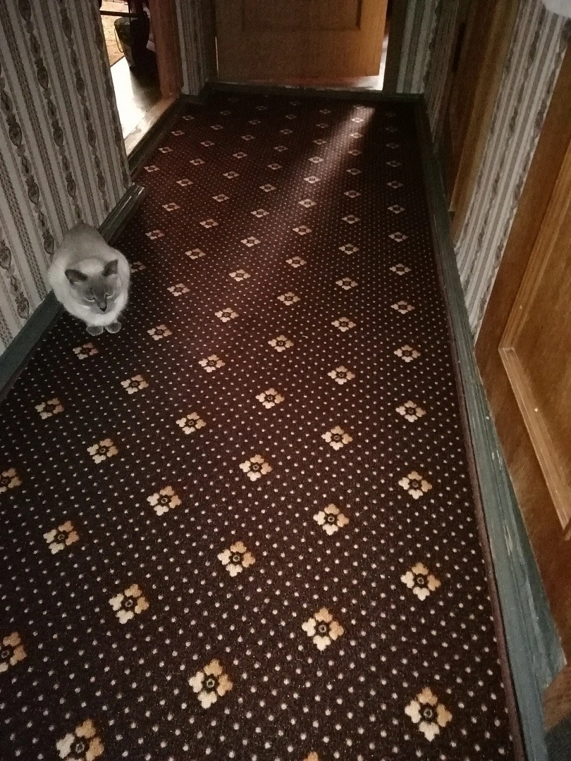 Укладка ковролина в квартире 5