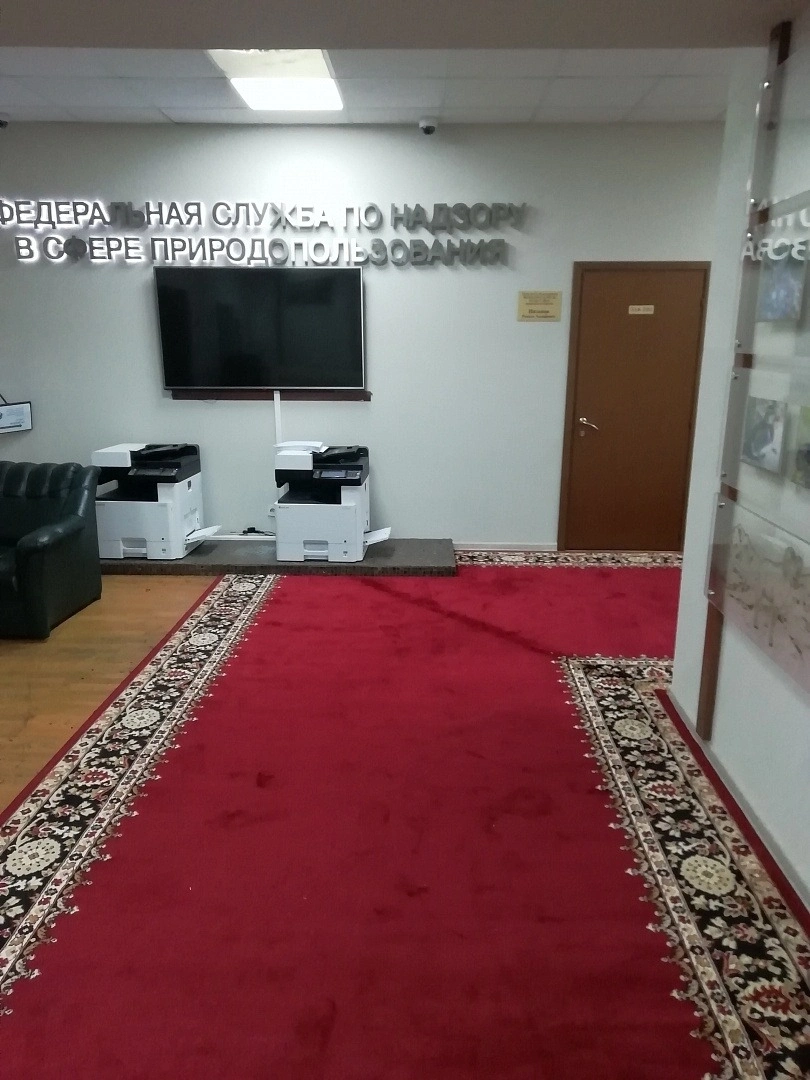 Укладка дорожки в здании РОСПРИРОДНАДЗОРА 2