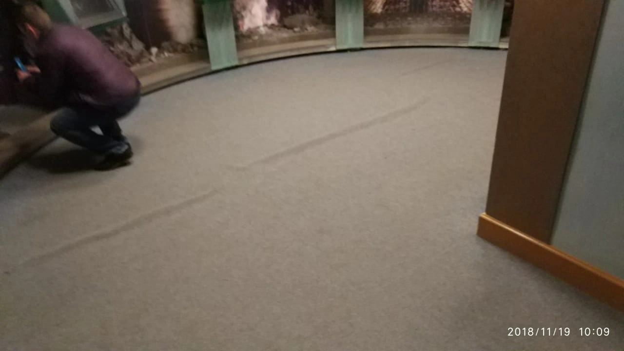 Укладка ковролина для мемориального музея Н. В. Гоголя  7