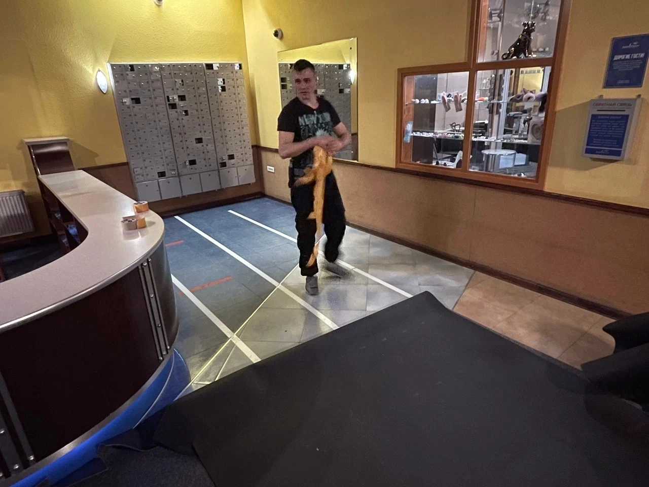 Укладка ковролина в фитнес-клубе Janinn Fitness 5