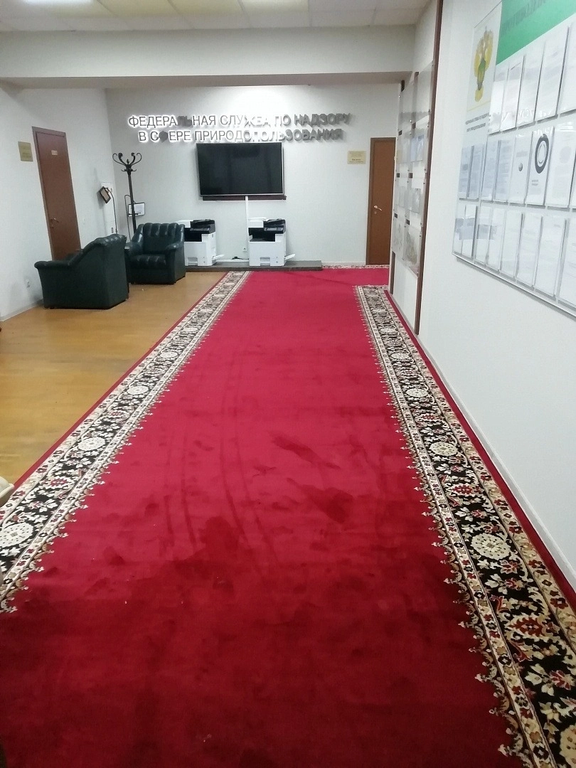 Укладка дорожки в здании РОСПРИРОДНАДЗОРА 5