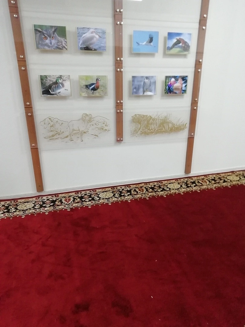 Укладка дорожки в здании РОСПРИРОДНАДЗОРА 8