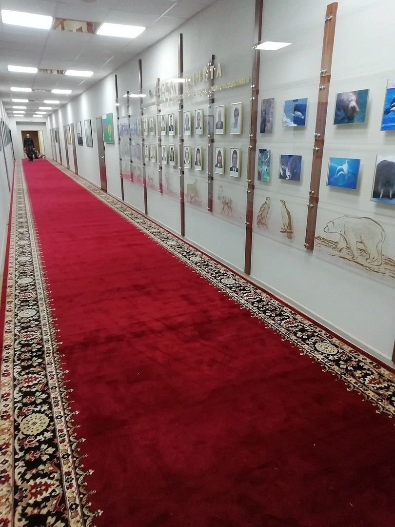 Укладка дорожки в здании РОСПРИРОДНАДЗОРА 9