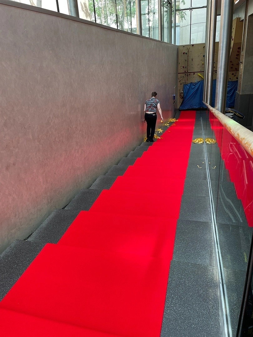 Укладка дорожки в  лицее имени Александра Дюма 2