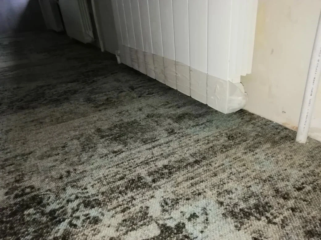 Укладка ковролина в новостройке 8