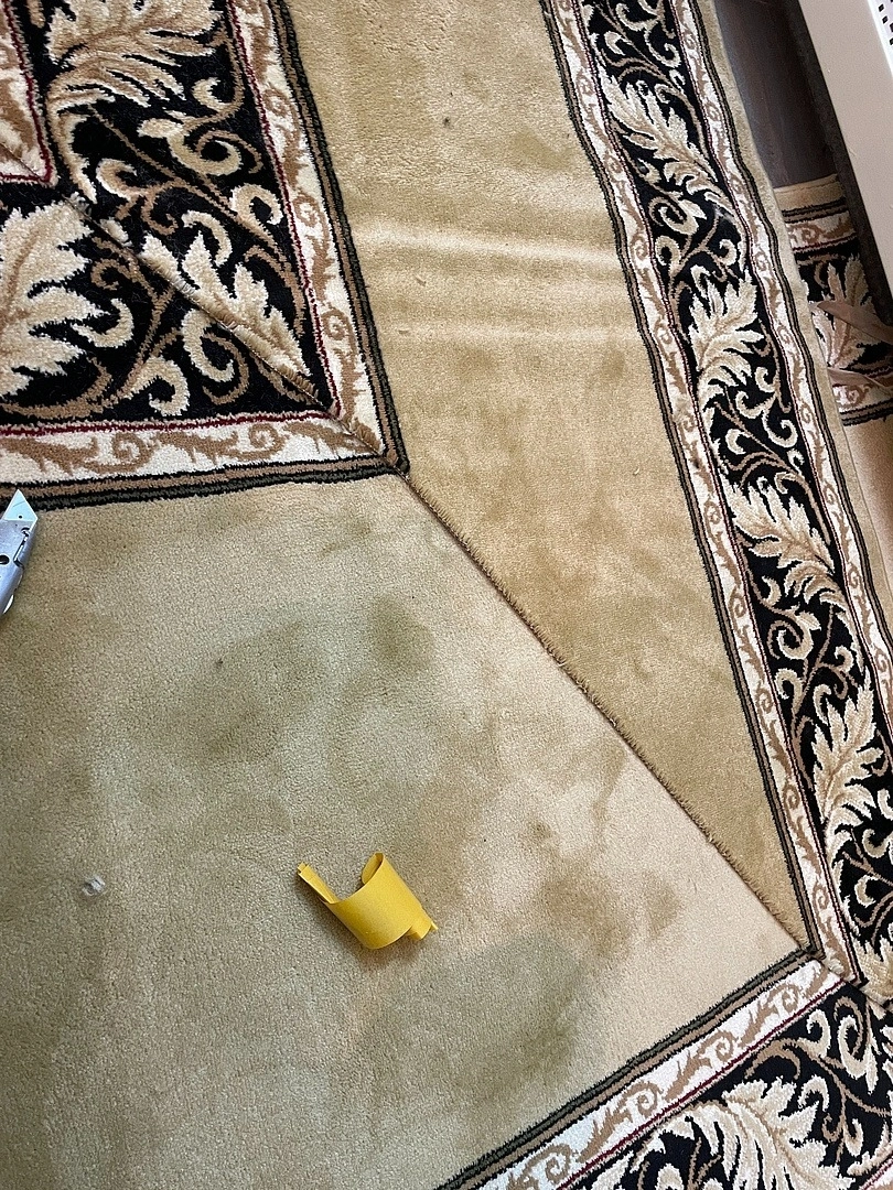 Укладка дорожки в Музее истории медицины МГМСУ имени А. И. Евдокимова 4