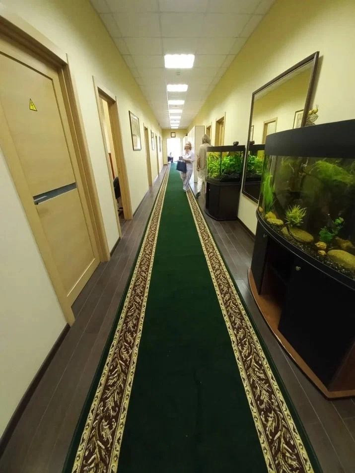 Укладка дорожки в стоматологии №3