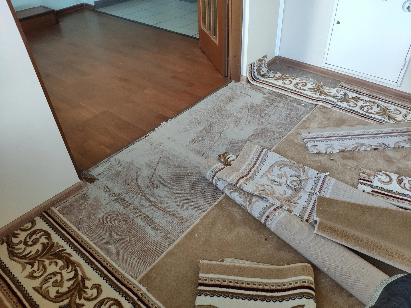 Укладка в Министерстве природных ресурсов и экологии 7