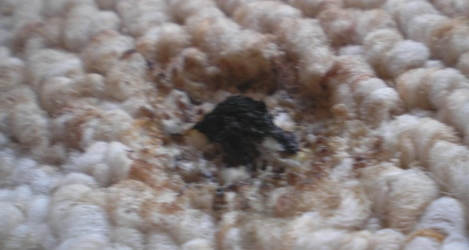 Ремонт и восстановление прожженных ковров