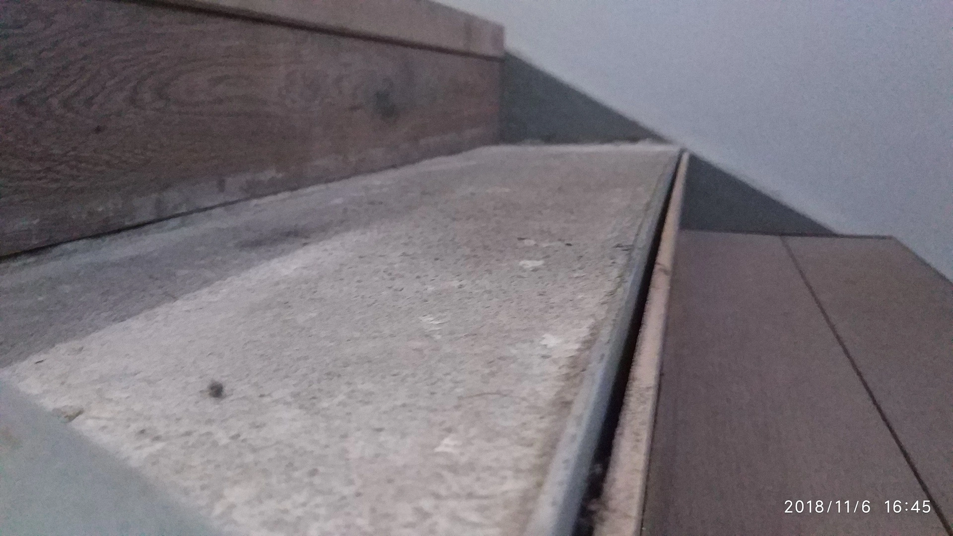 Укладка дорожки в офисе строительной фирмы 7