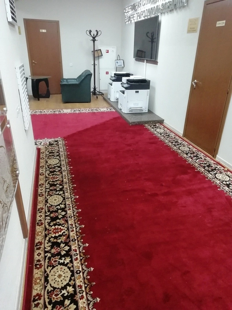 Укладка дорожки в здании РОСПРИРОДНАДЗОРА 6