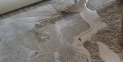 Укладка линолеума на клей